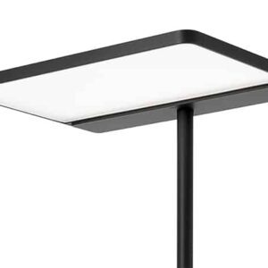 Glamox LINEA-F Gulvlampe Svart