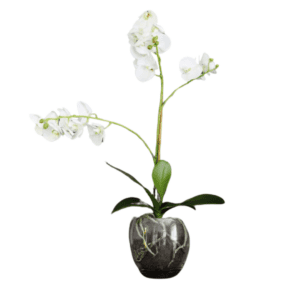 Kunstig plante Orkidé Phalaenopsis Hvit inkl. krukke