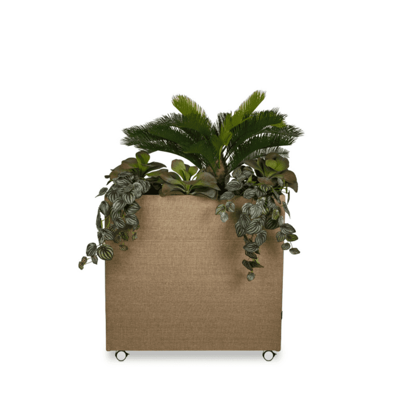 Plant Divider