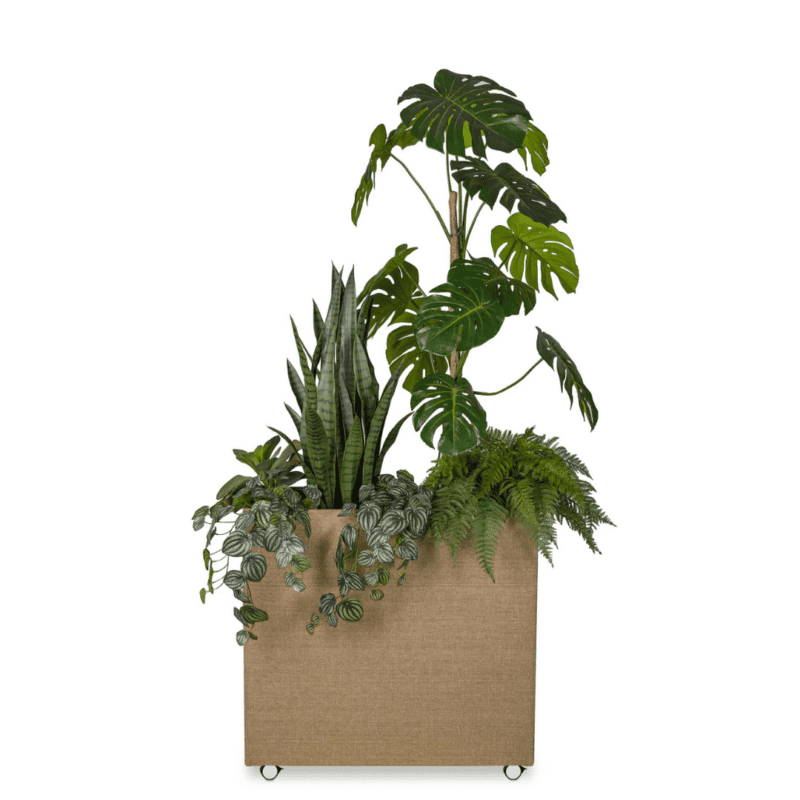 Plant Divider - Bilde 2