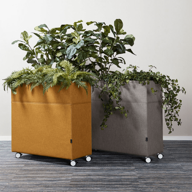 Plant Divider - Bilde 3