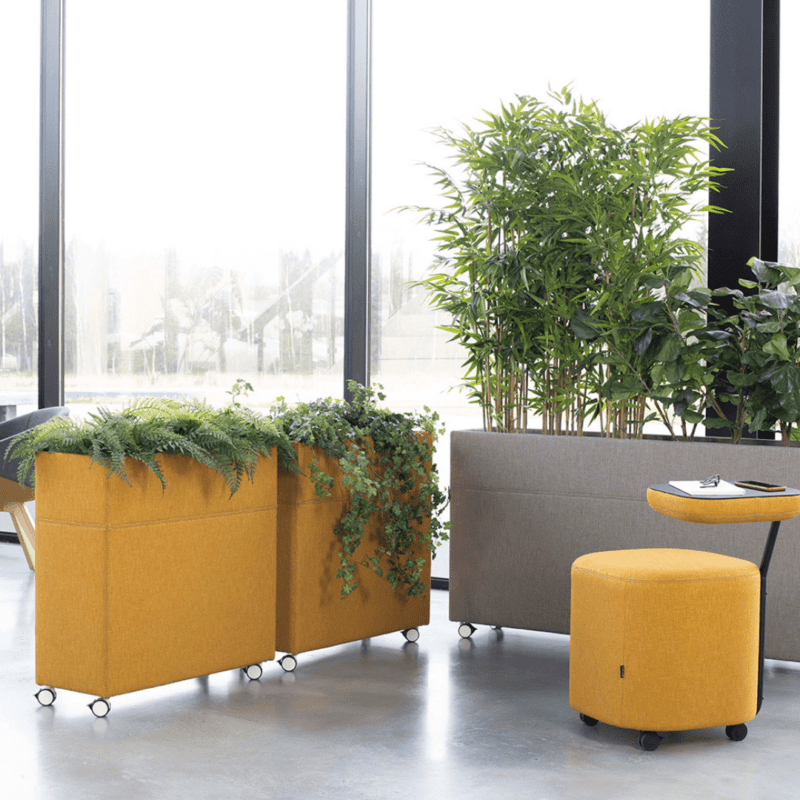 Plant Divider - Bilde 4