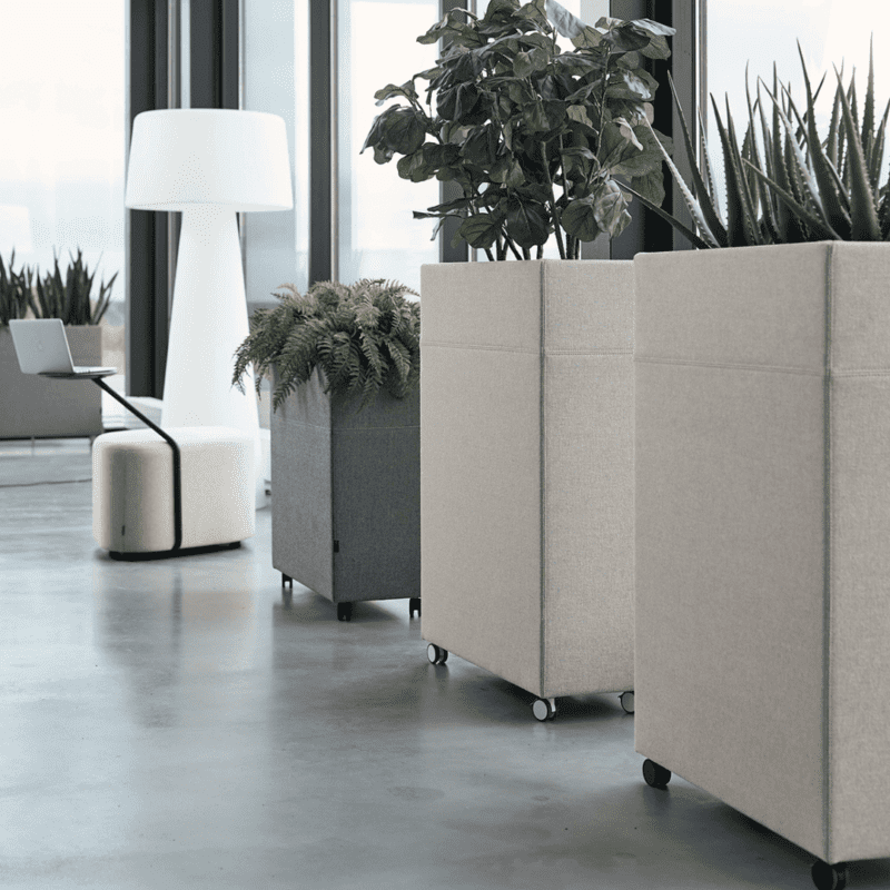 Plant Divider - Bilde 5