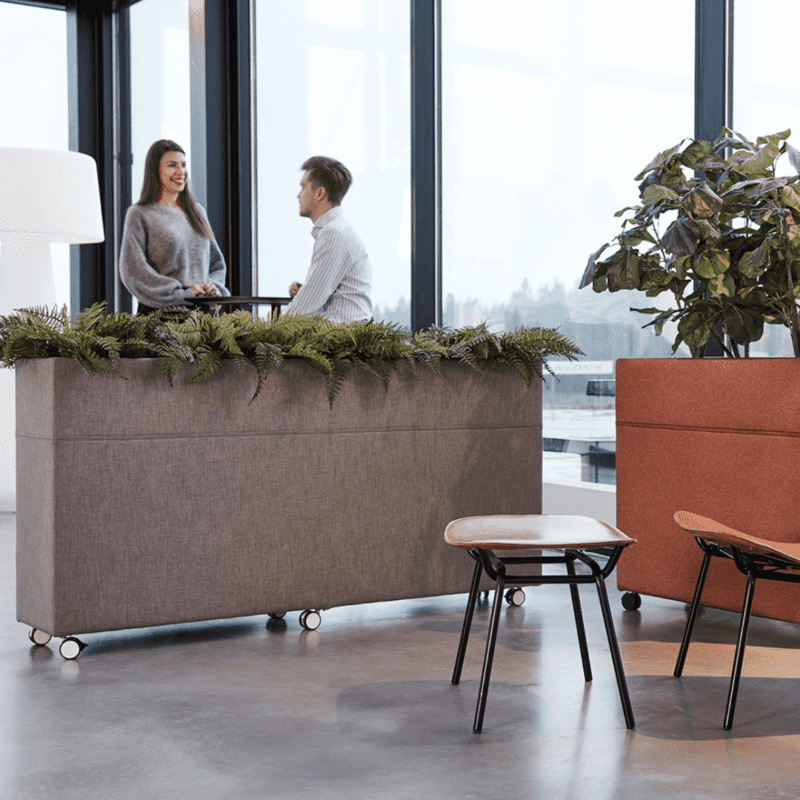 Plant Divider - Bilde 6