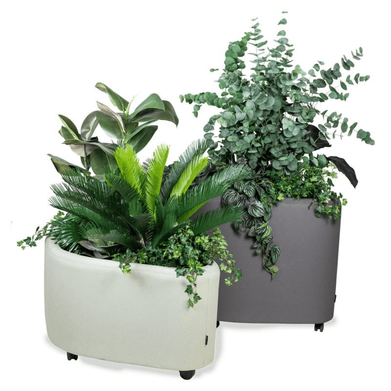 RomboPlanter