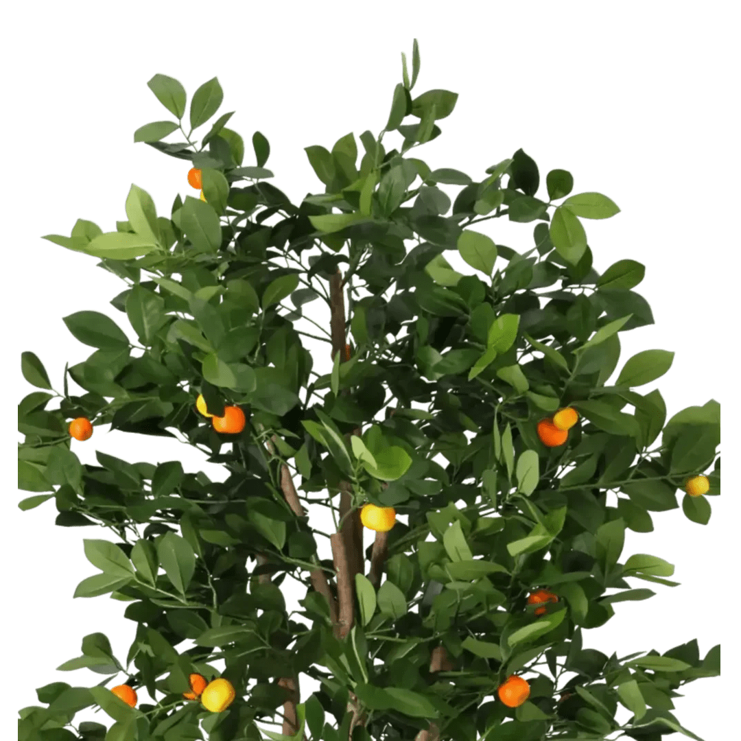 Appelsintre 140cm - Bilde 2