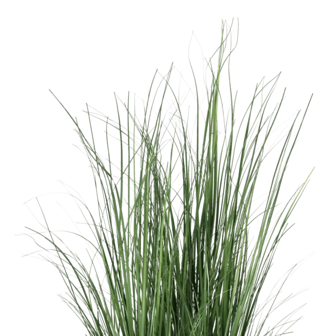 Gress 125cm - Bilde 2