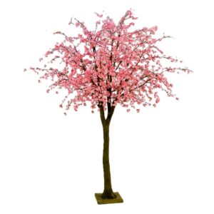Kirsebærtre 350cm