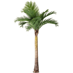 Palme 370cm