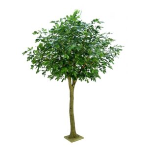 Eiketre 350cm, med ekte stamme